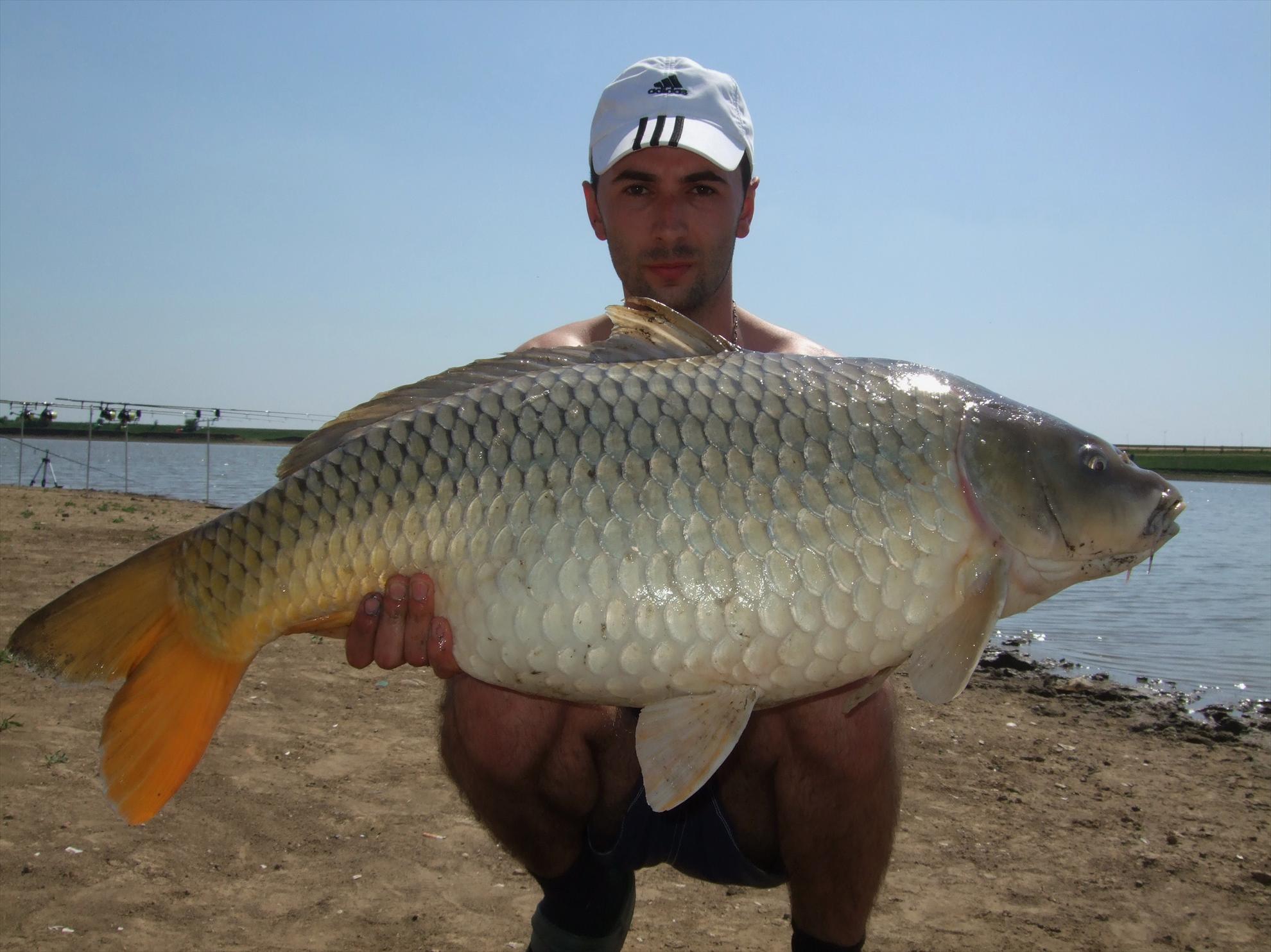 Livada de Bihor - picture-0861.jpg